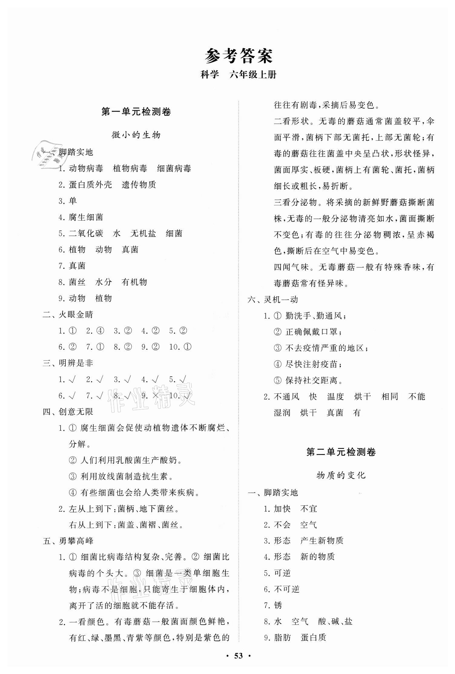 2021年小學(xué)同步練習(xí)冊(cè)分層卷六年級(jí)科學(xué)上冊(cè)青島版 第1頁