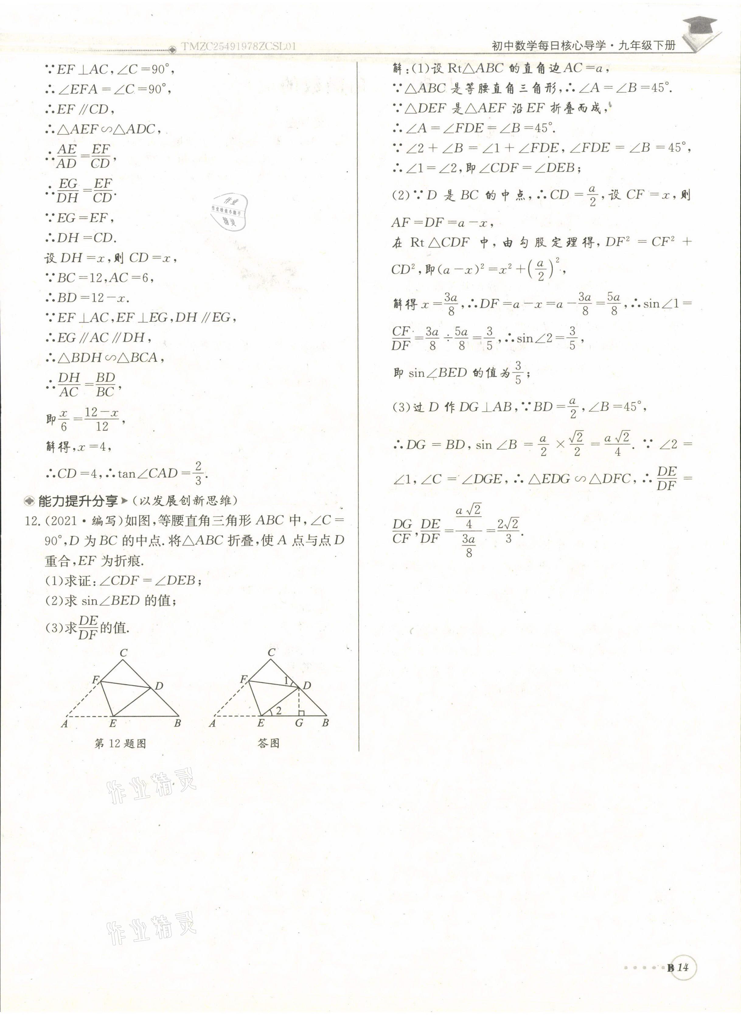 2022年每日核心導(dǎo)學(xué)九年級(jí)數(shù)學(xué)下冊(cè)北師大版 參考答案第29頁(yè)