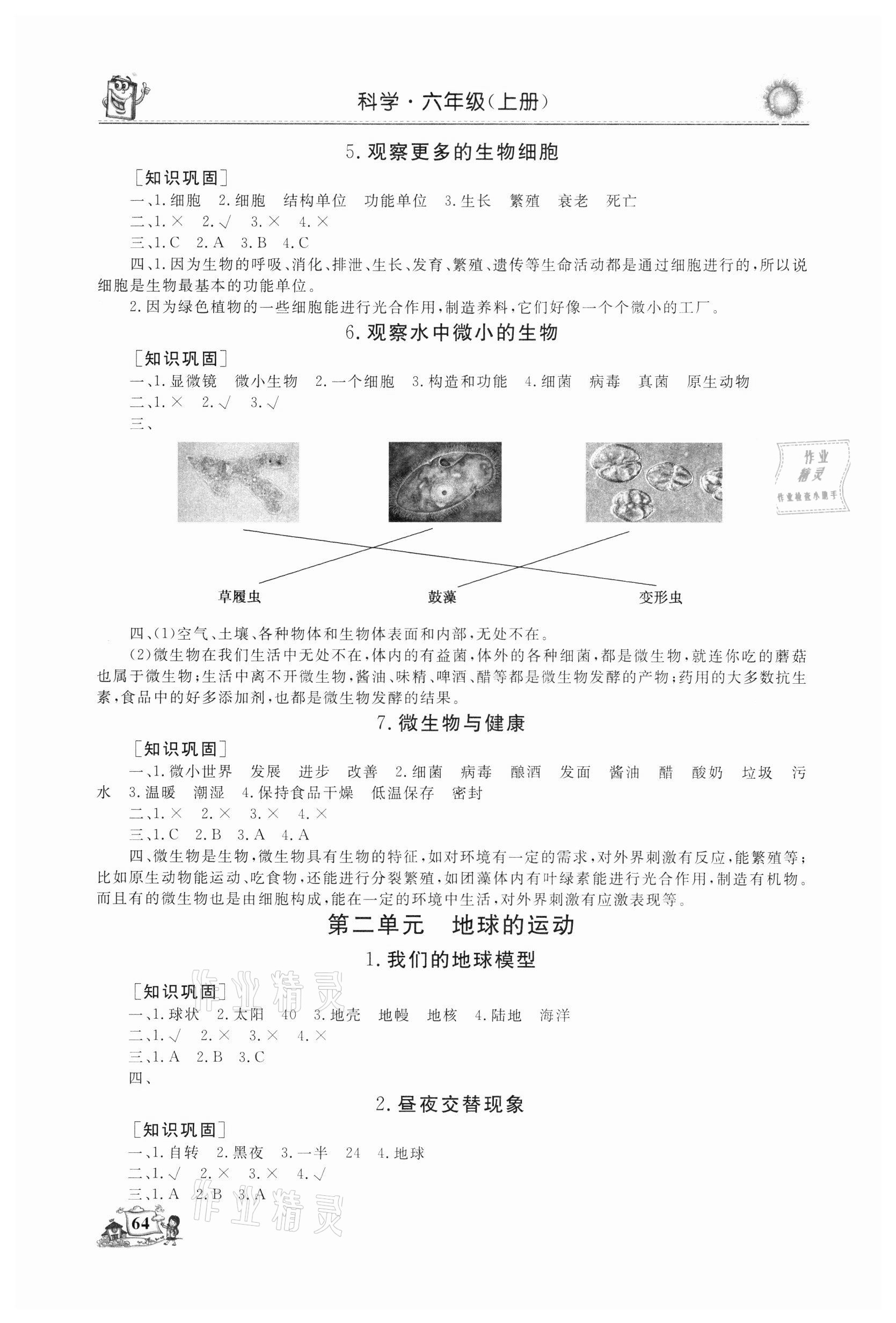 2021年名师导学伴你行科学同步练习六年级上册教科版 第2页