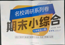 2021年名校調(diào)研系列卷期末小綜合九年級(jí)全一冊(cè)人教版