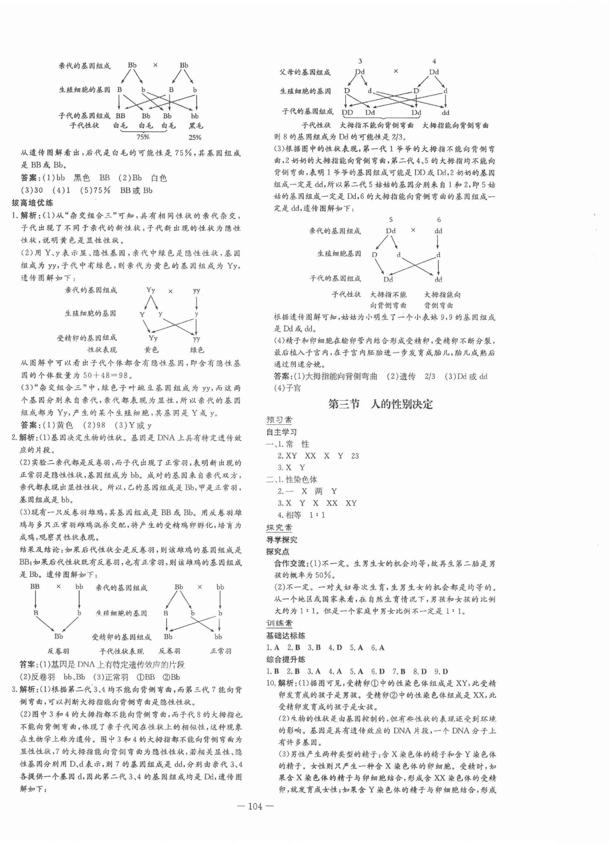 2022年初中同步学习导与练导学探究案八年级生物下册人教版 第4页