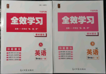 2021年全效學(xué)習(xí)課時(shí)提優(yōu)九年級英語全一冊人教版寧波專版