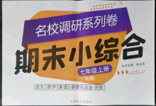 2021年名校調(diào)研系列卷期末小綜合七年級上冊人教版