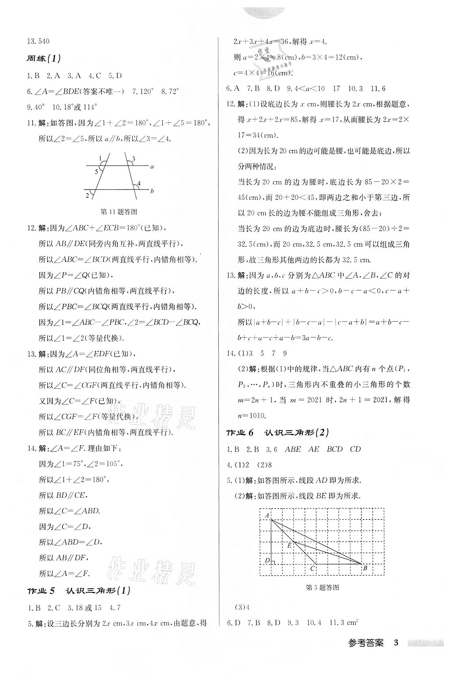 2022年启东中学作业本七年级数学下册苏科版宿迁专版 第3页