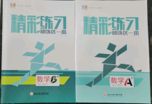 2022年精彩練習(xí)就練這一本七年級數(shù)學(xué)下冊浙教版