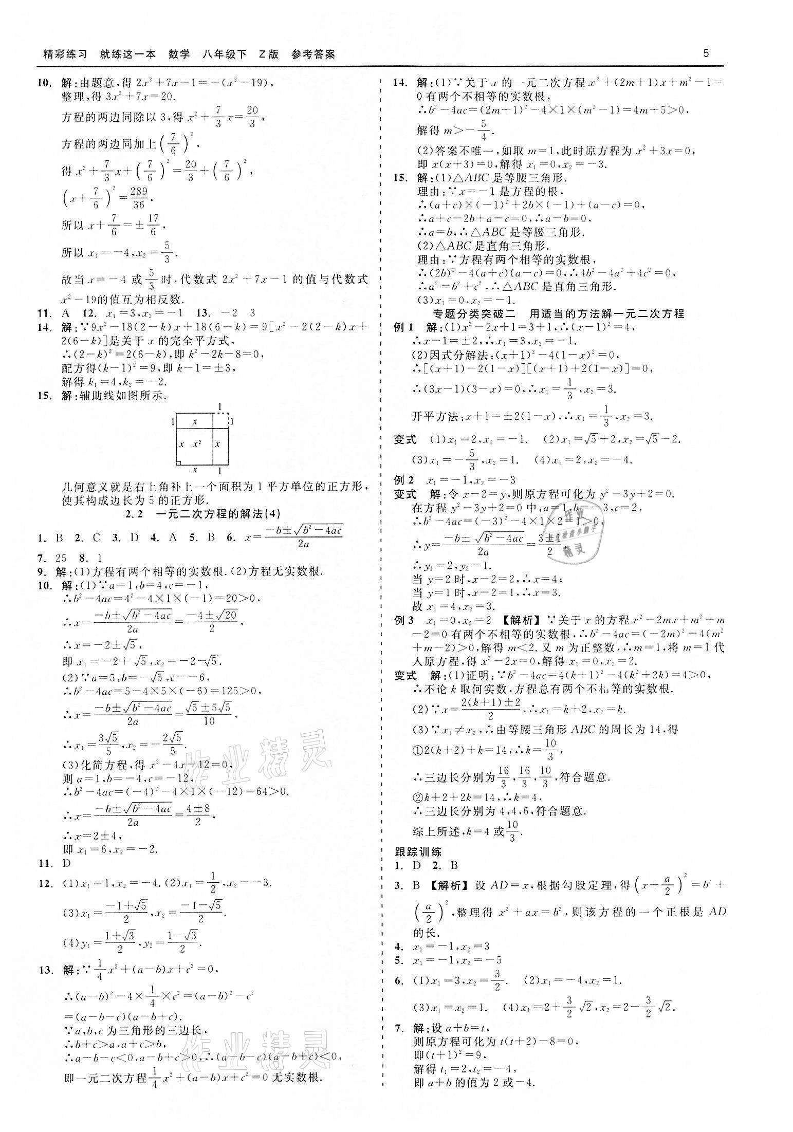 2022年精彩练习就练这一本八年级数学下册浙教版 第5页