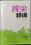 2022年拔尖特訓四年級數(shù)學下冊人教版