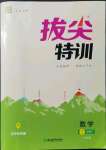 2022年拔尖特訓(xùn)三年級(jí)數(shù)學(xué)下冊(cè)人教版