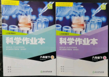 2022年科學(xué)作業(yè)本八年級(jí)下冊(cè)浙教版浙江教育出版社