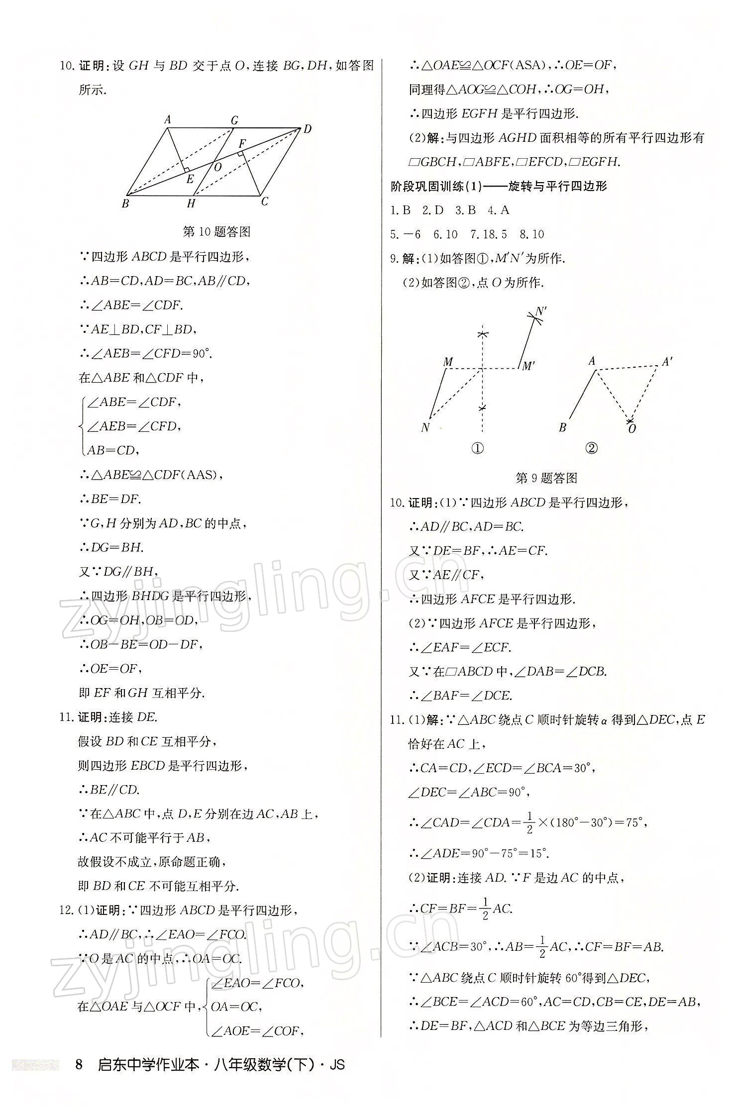 2022年启东中学作业本八年级数学下册江苏版 参考答案第8页