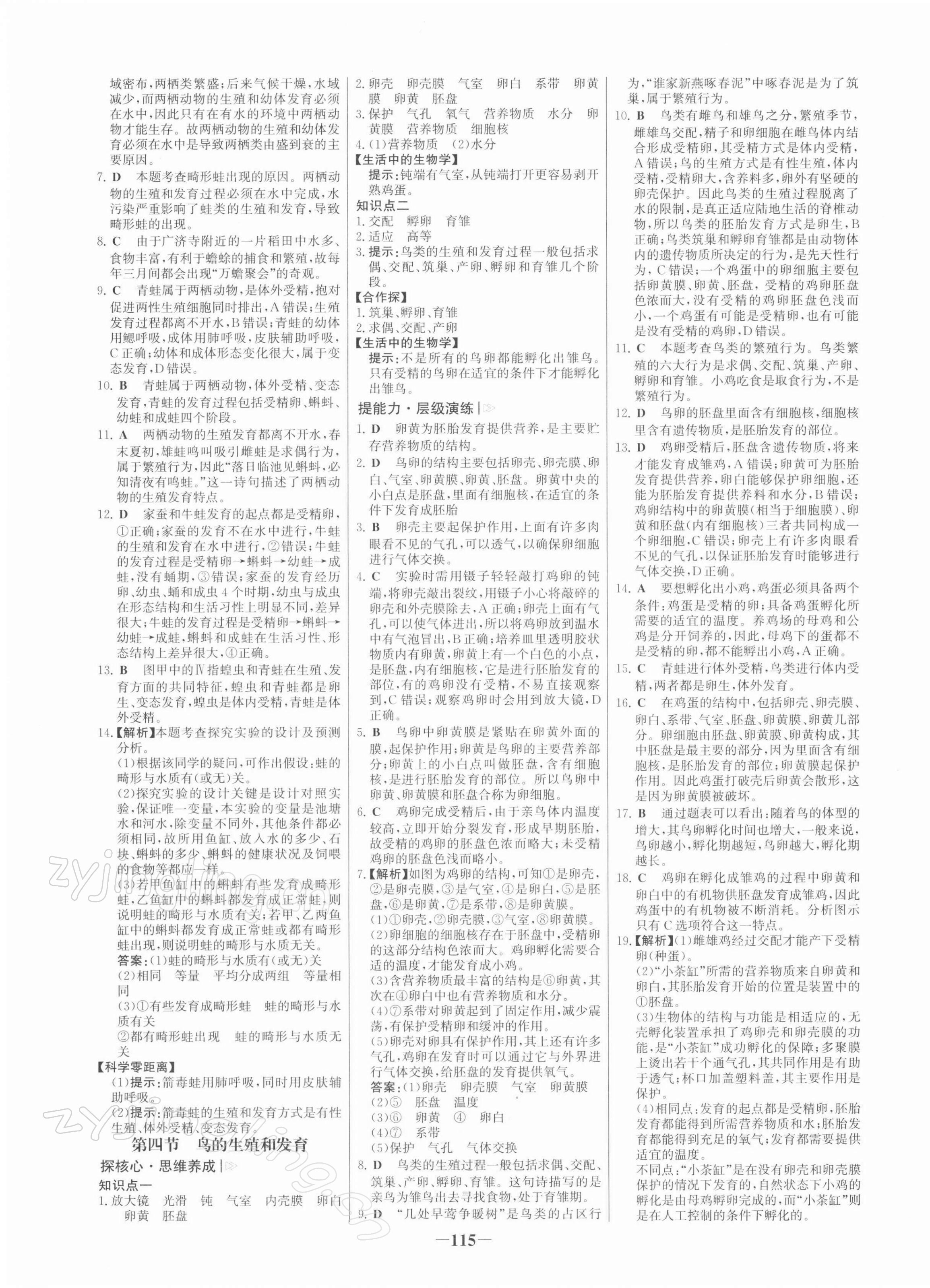 2022年世紀金榜金榜學案八年級生物下冊人教版 第3頁