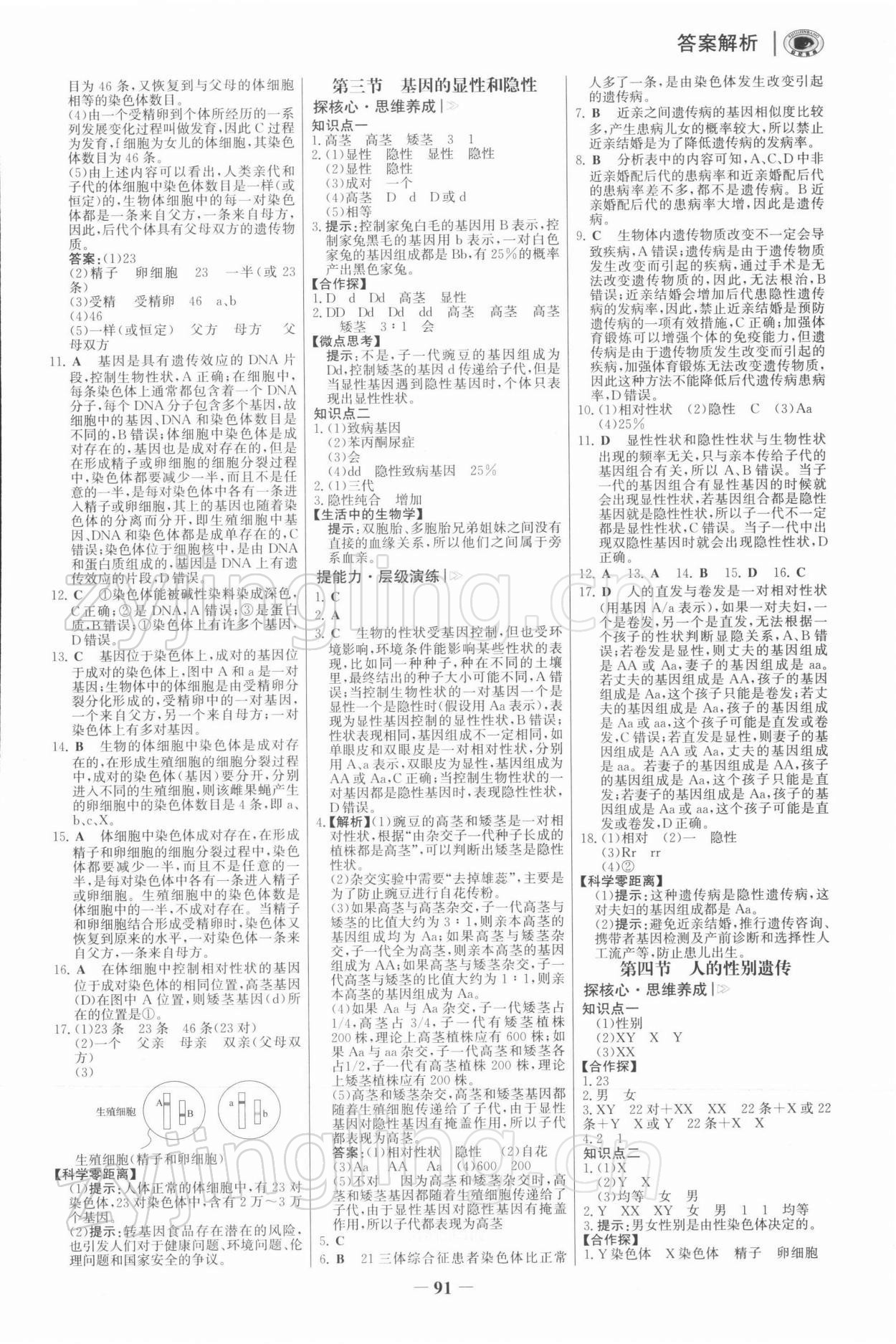 2022年初中世紀金榜金榜學案八年級生物下冊人教版河南專版 參考答案第6頁