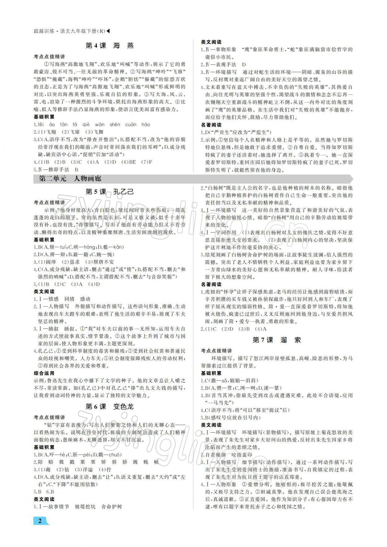 2022年超越訓(xùn)練九年級(jí)語(yǔ)文下冊(cè)人教版 參考答案第2頁(yè)