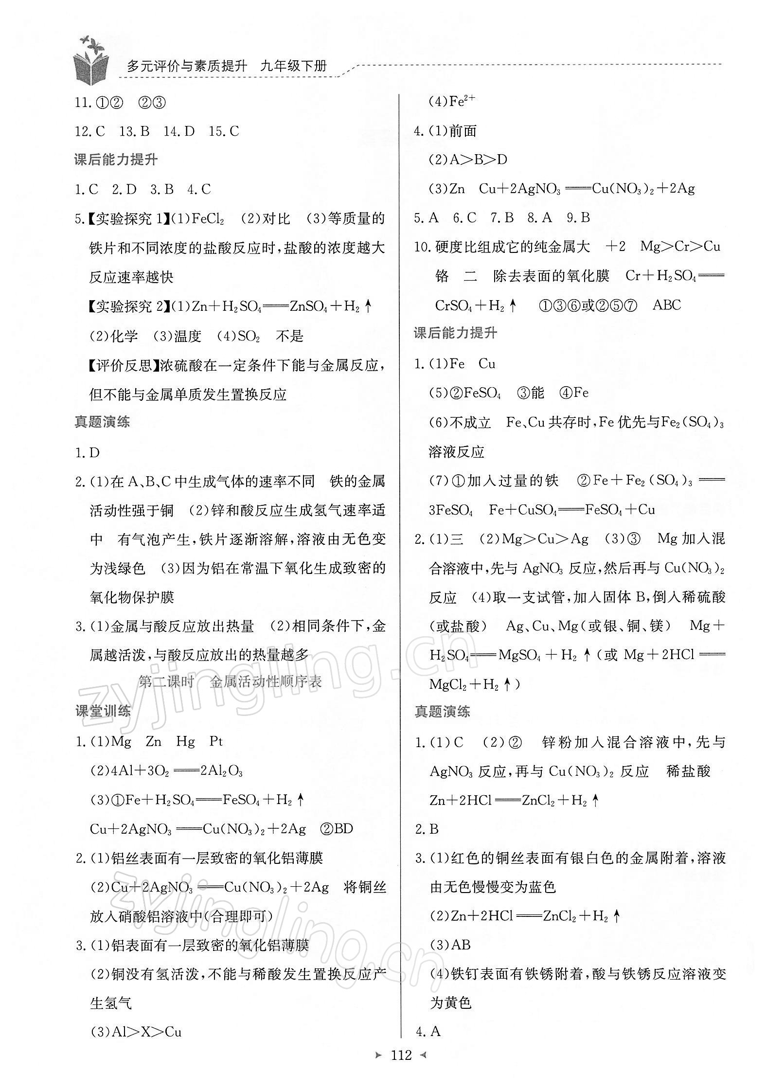 2022年多元評價(jià)與素質(zhì)提升九年級(jí)化學(xué)下冊科粵版 第2頁