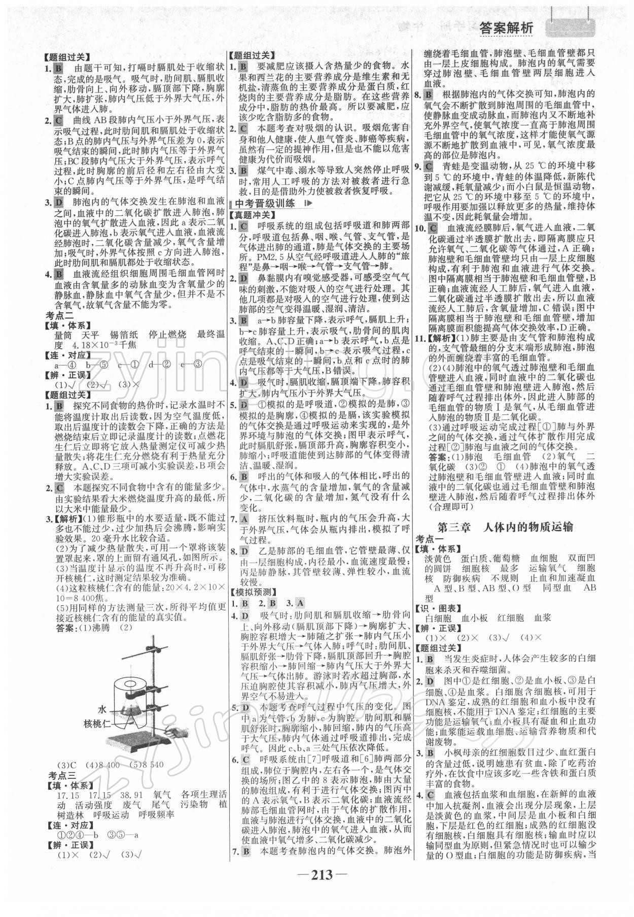 2022年初中總復習手冊生物山東畫報出版社 參考答案第8頁