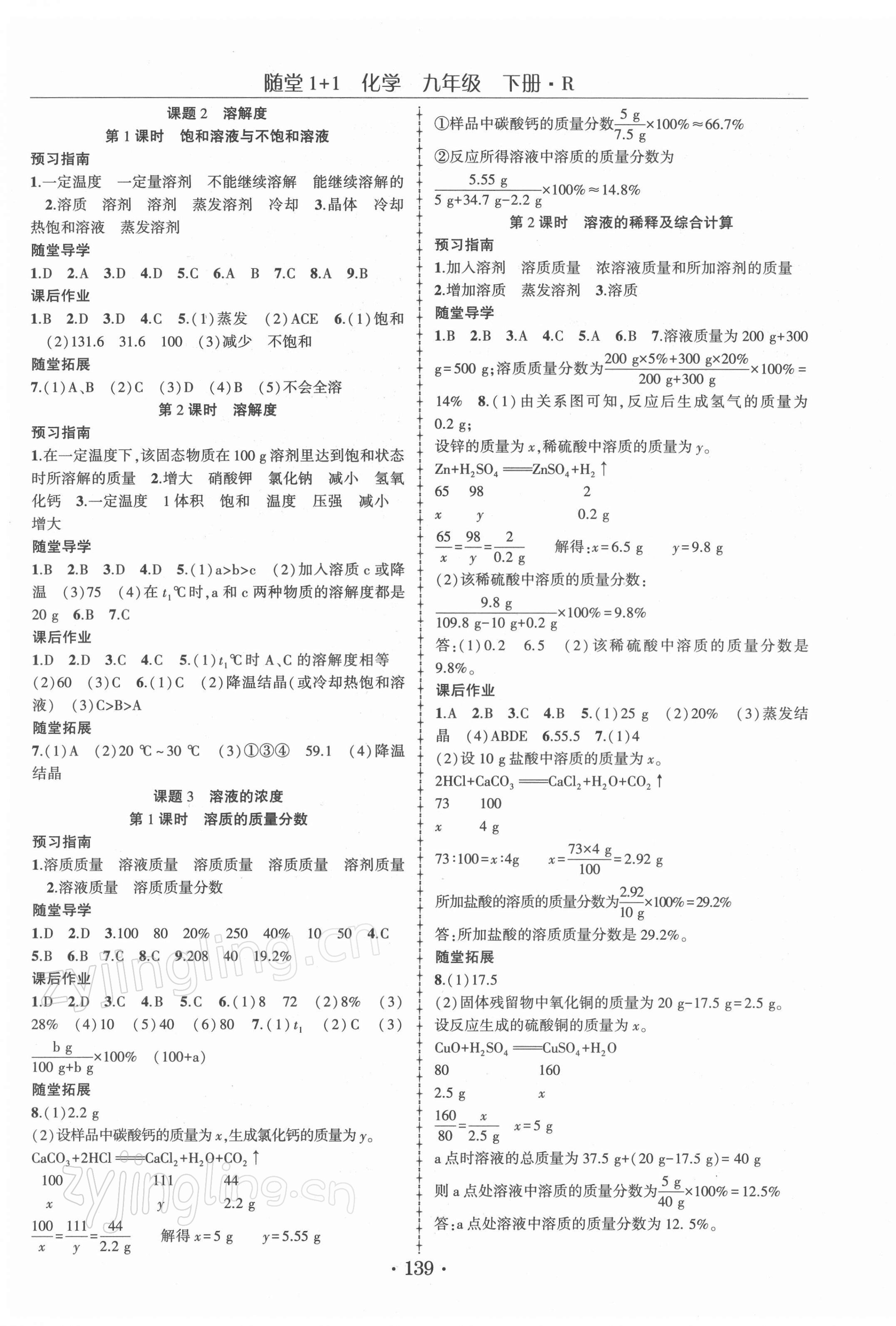 2022年随堂1加1导练九年级化学下册人教版 第3页