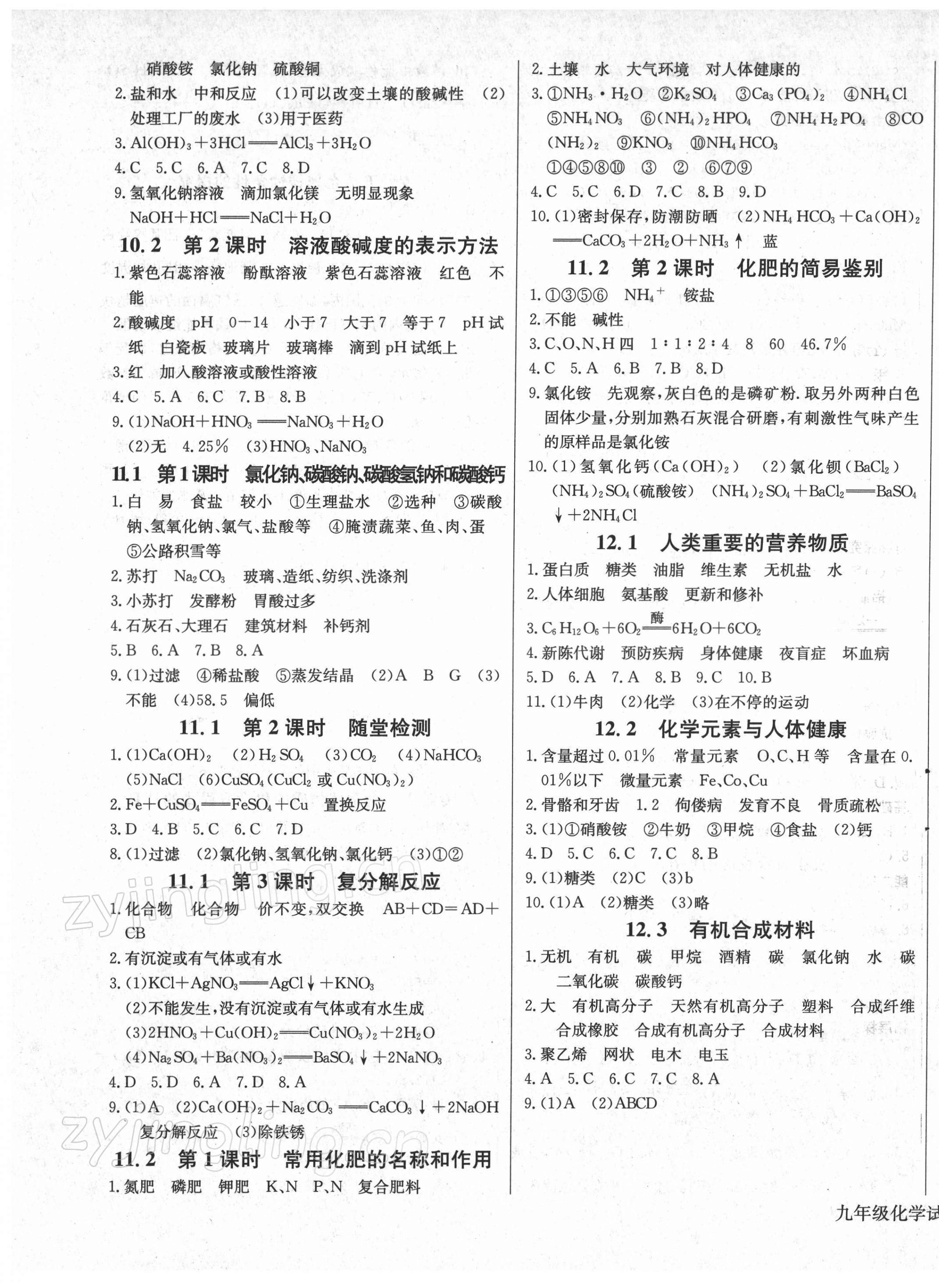 2022年樂學(xué)課堂課時(shí)學(xué)講練九年級(jí)化學(xué)下冊(cè)人教版 第5頁