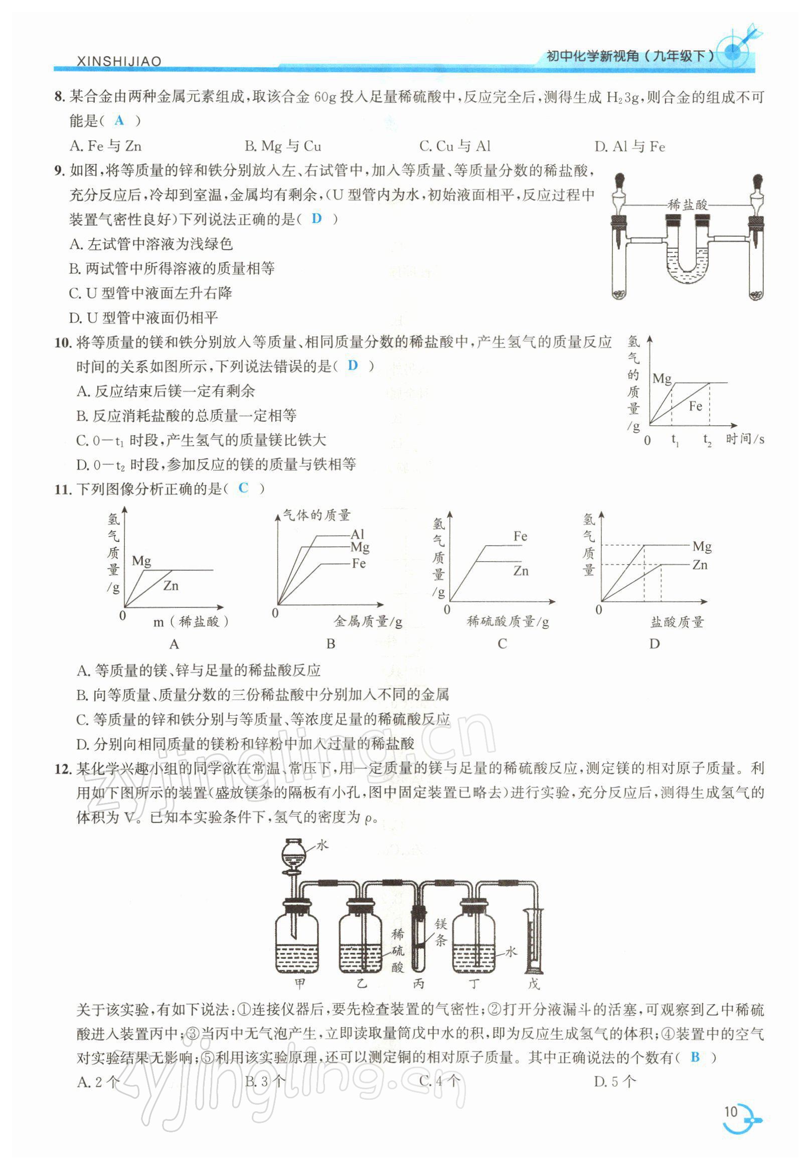 2022年新视角教辅系列丛书九年级化学下册人教版 参考答案第10页