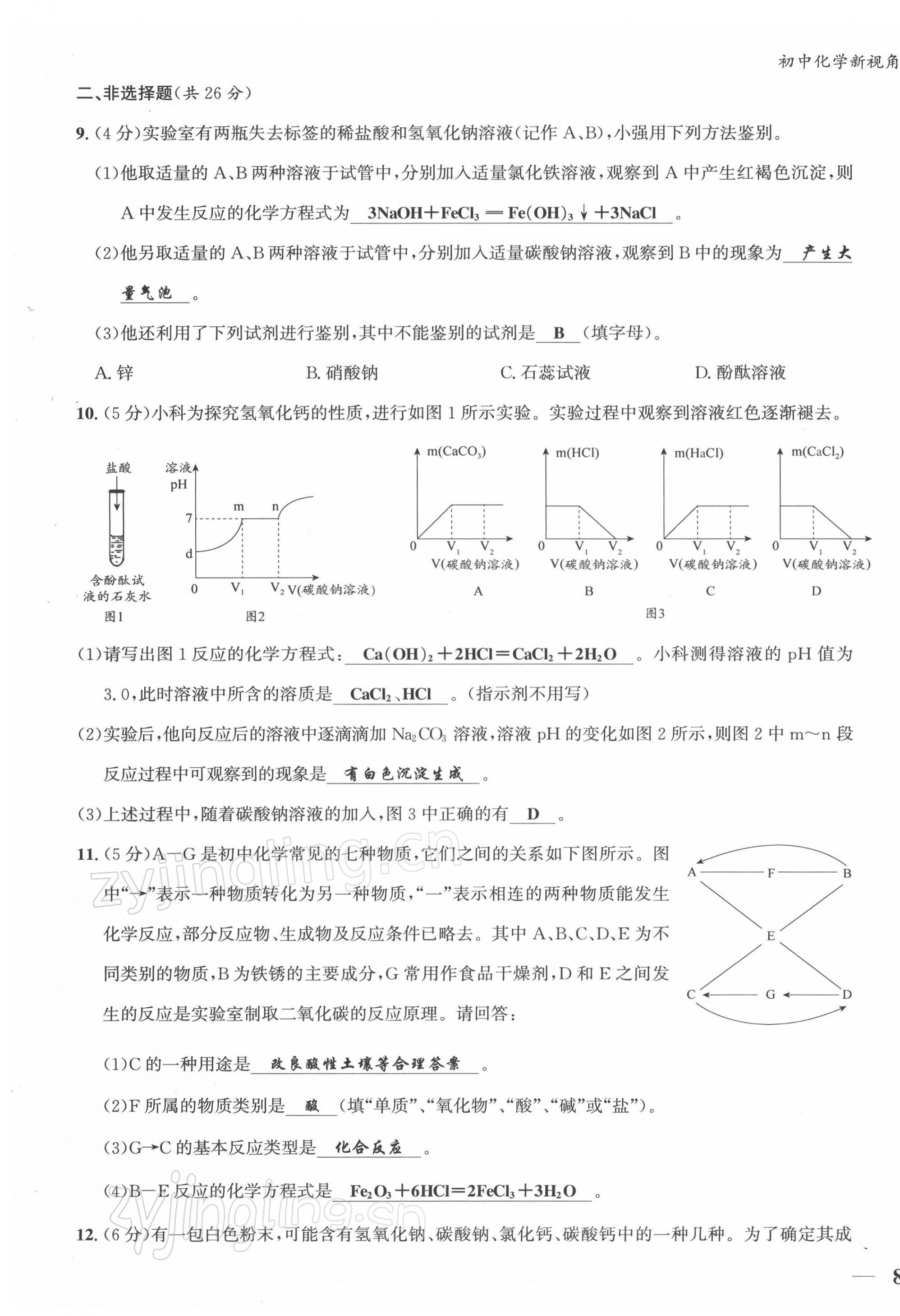 2022年新视角教辅系列丛书九年级化学下册人教版 第15页