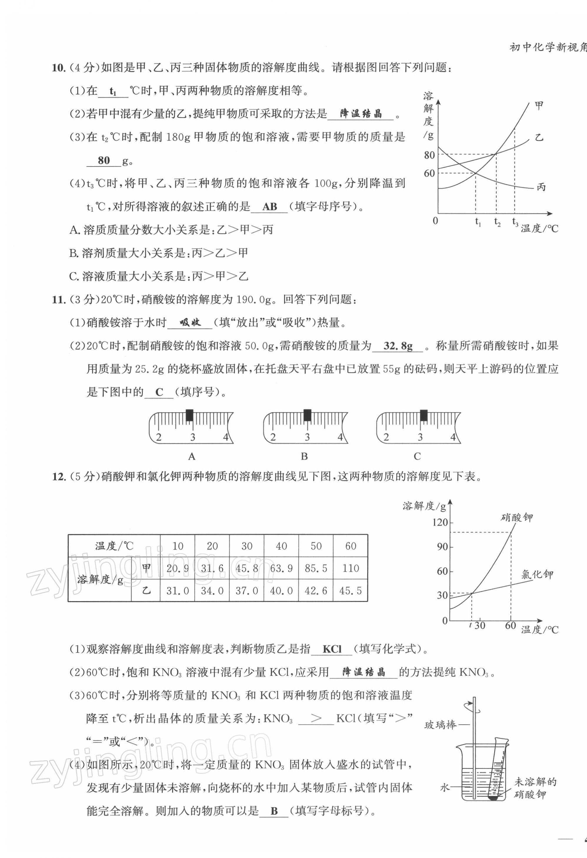 2022年新視角教輔系列叢書九年級(jí)化學(xué)下冊(cè)人教版 第7頁