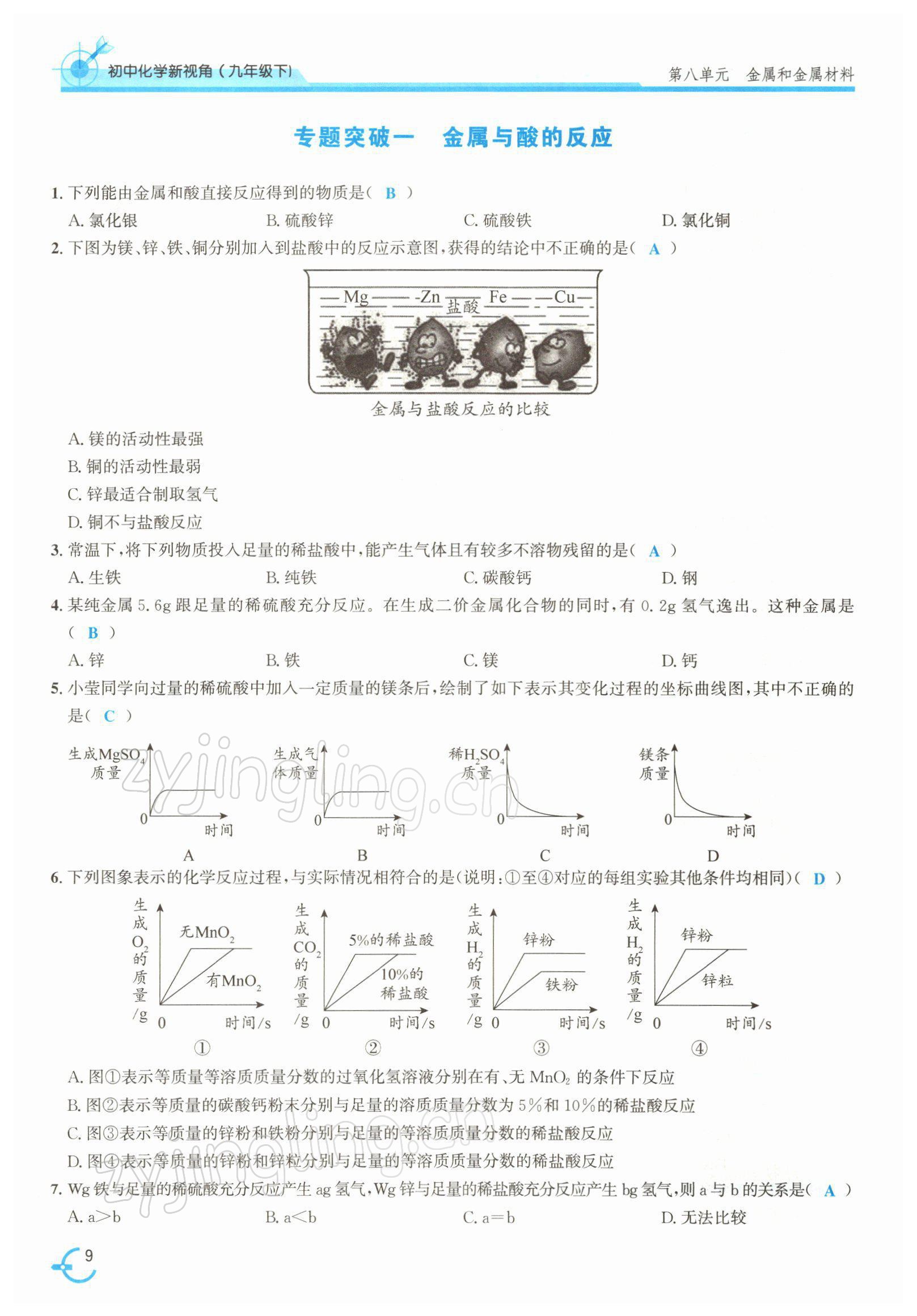 2022年新视角教辅系列丛书九年级化学下册人教版 参考答案第9页