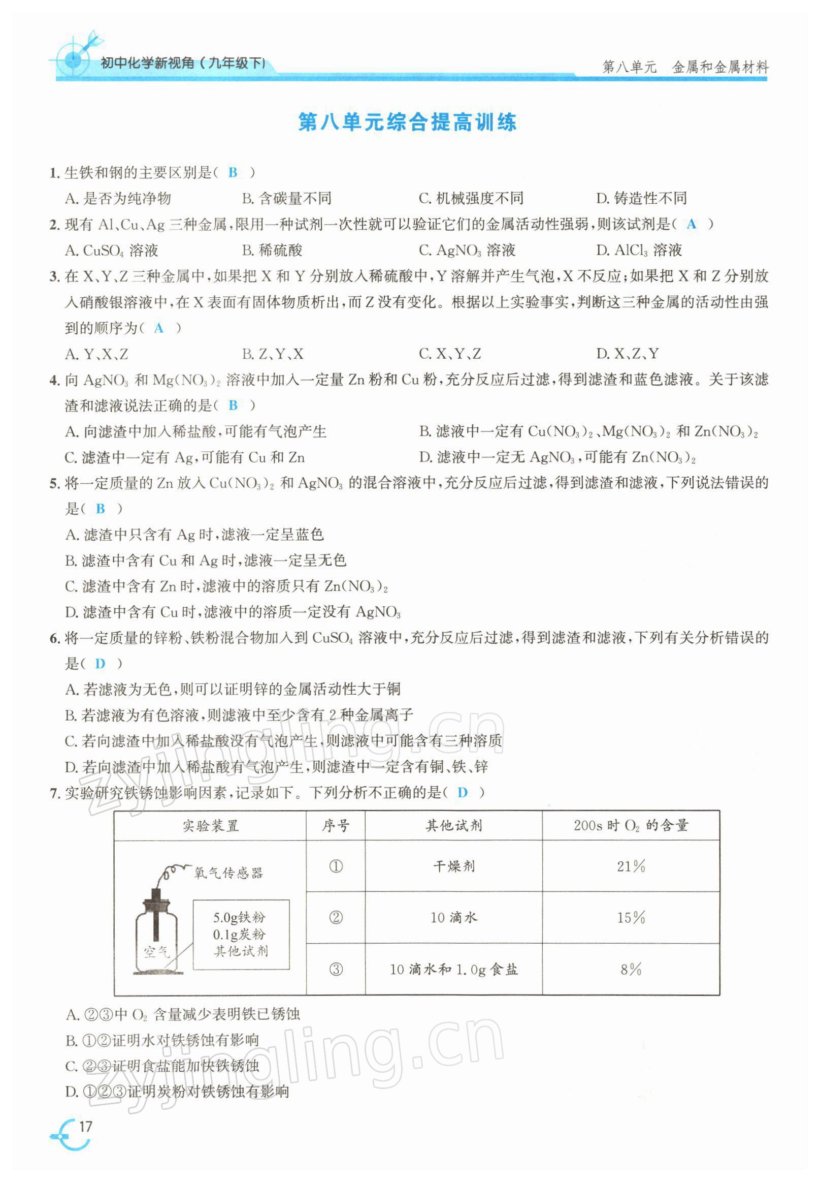 2022年新视角教辅系列丛书九年级化学下册人教版 参考答案第17页