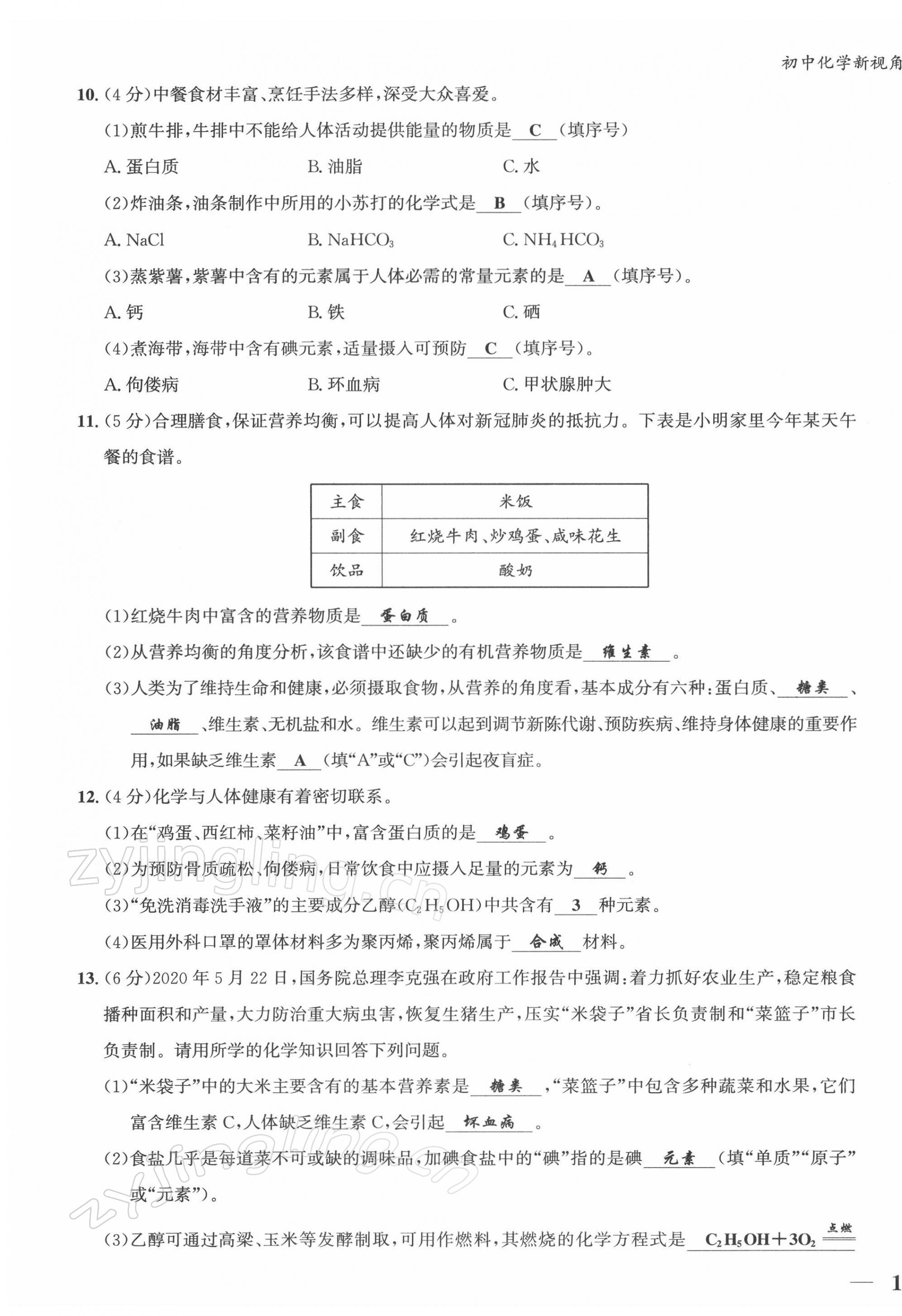 2022年新视角教辅系列丛书九年级化学下册人教版 第19页