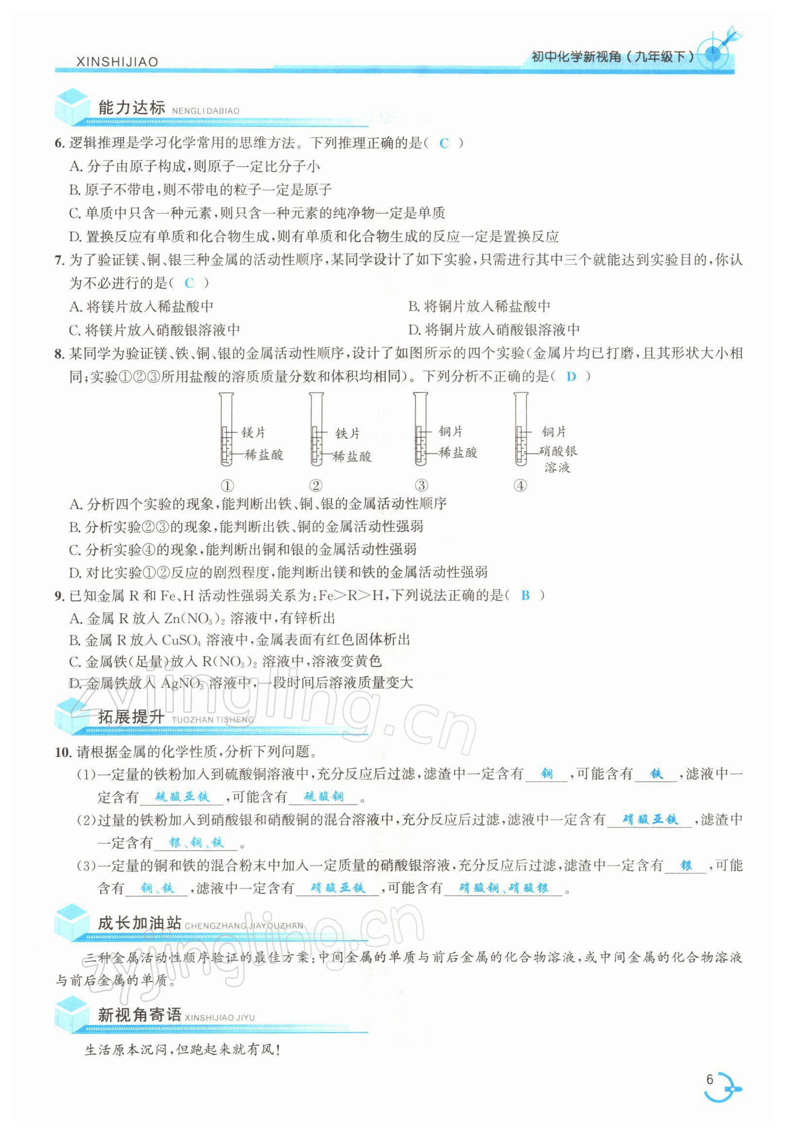 2022年新視角教輔系列叢書九年級化學下冊人教版 參考答案第6頁