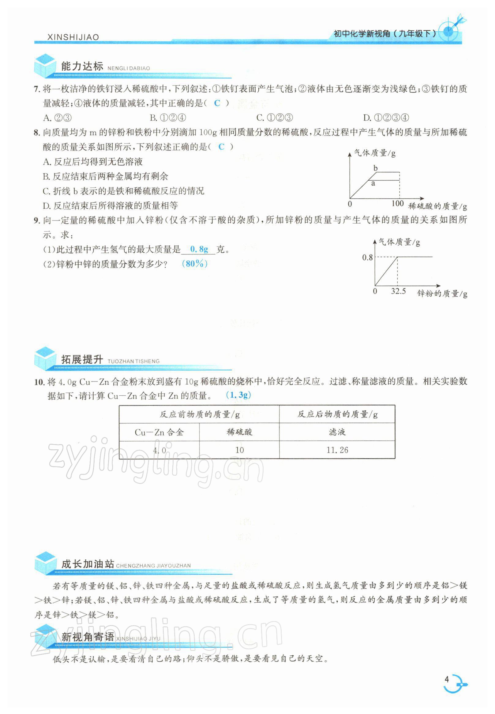 2022年新视角教辅系列丛书九年级化学下册人教版 参考答案第4页