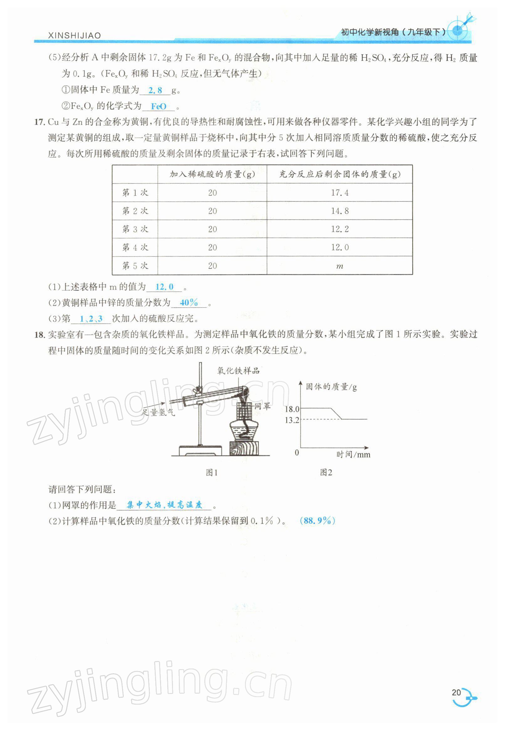 2022年新视角教辅系列丛书九年级化学下册人教版 参考答案第20页