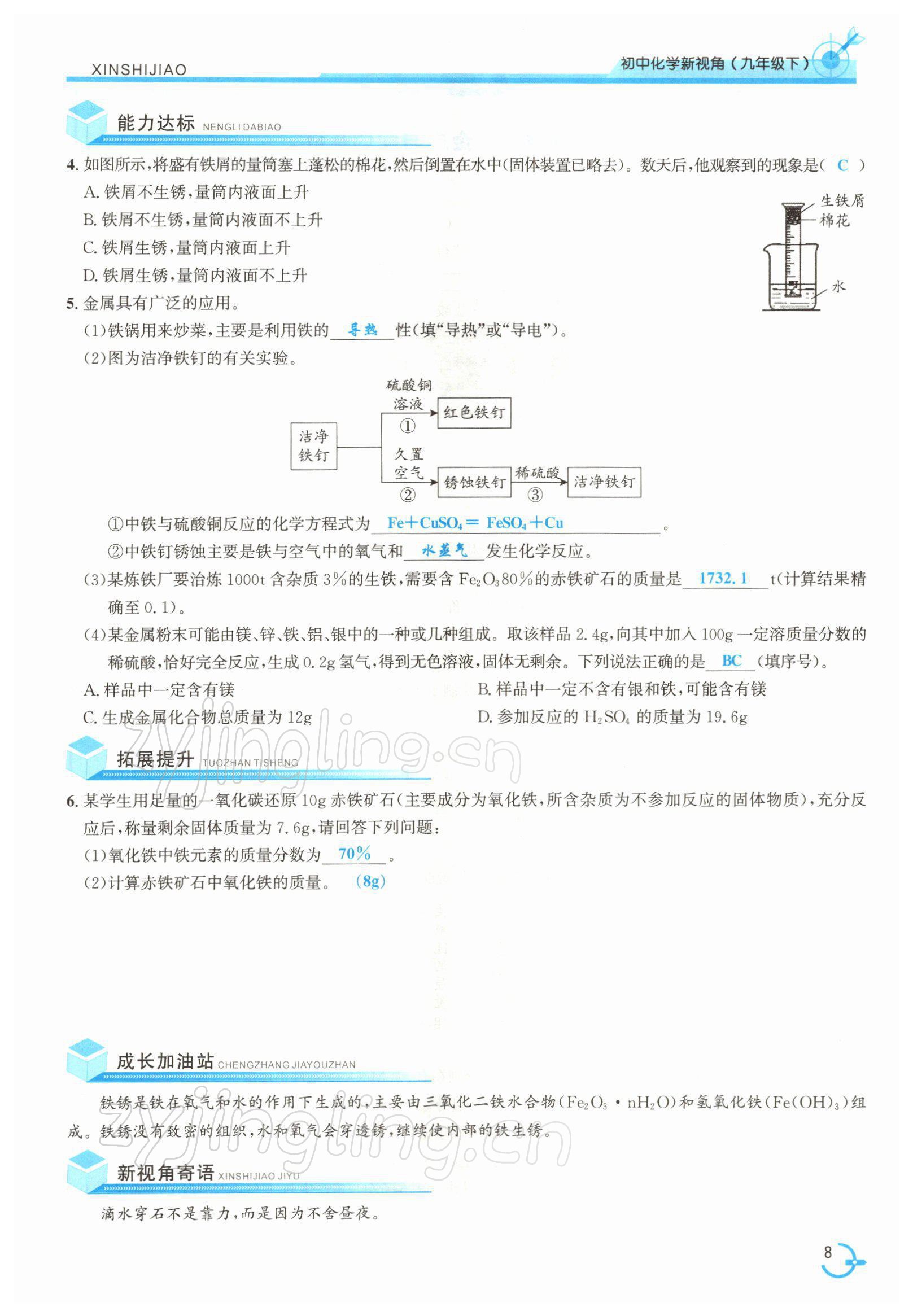 2022年新視角教輔系列叢書九年級化學(xué)下冊人教版 參考答案第8頁