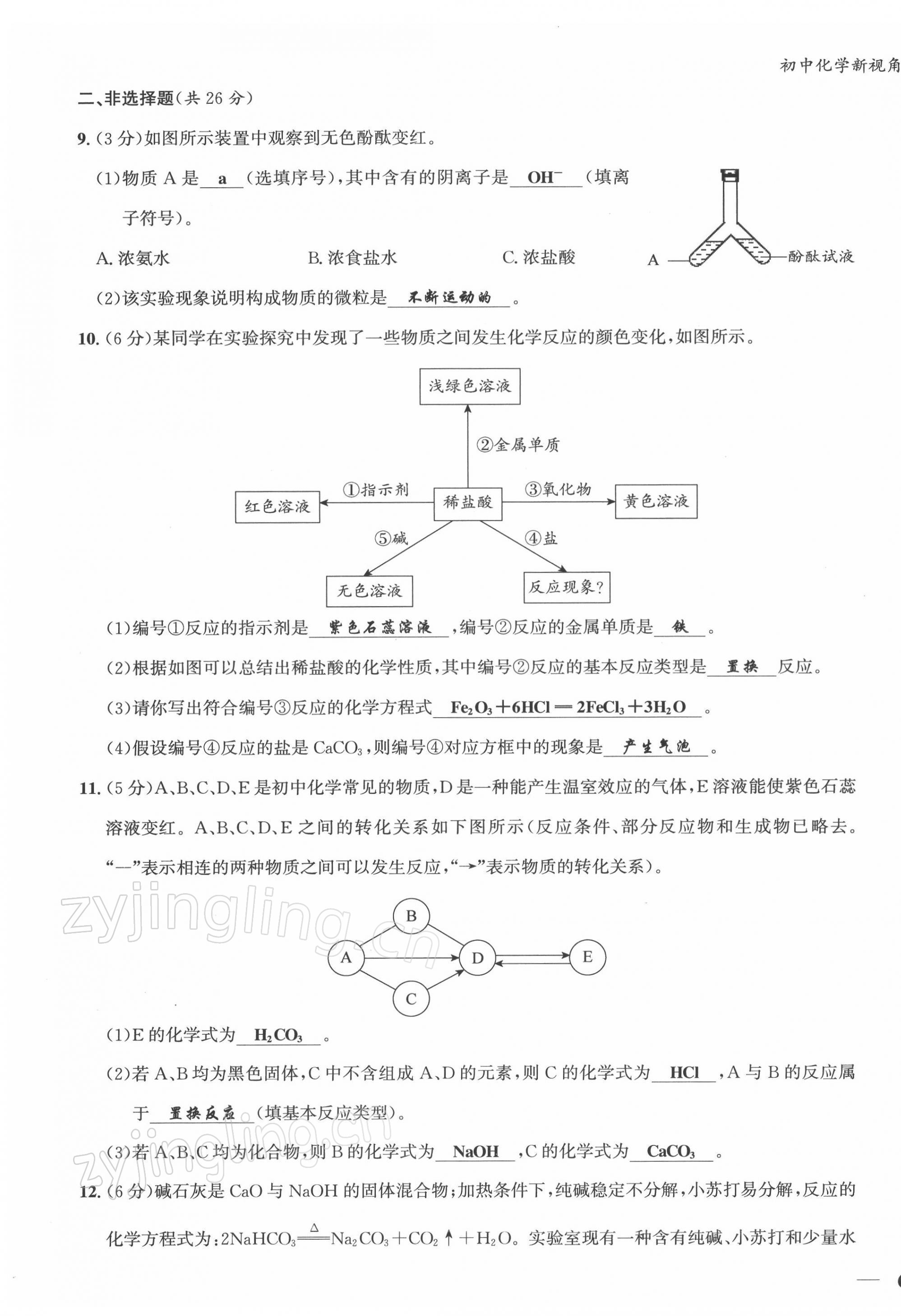 2022年新视角教辅系列丛书九年级化学下册人教版 第11页