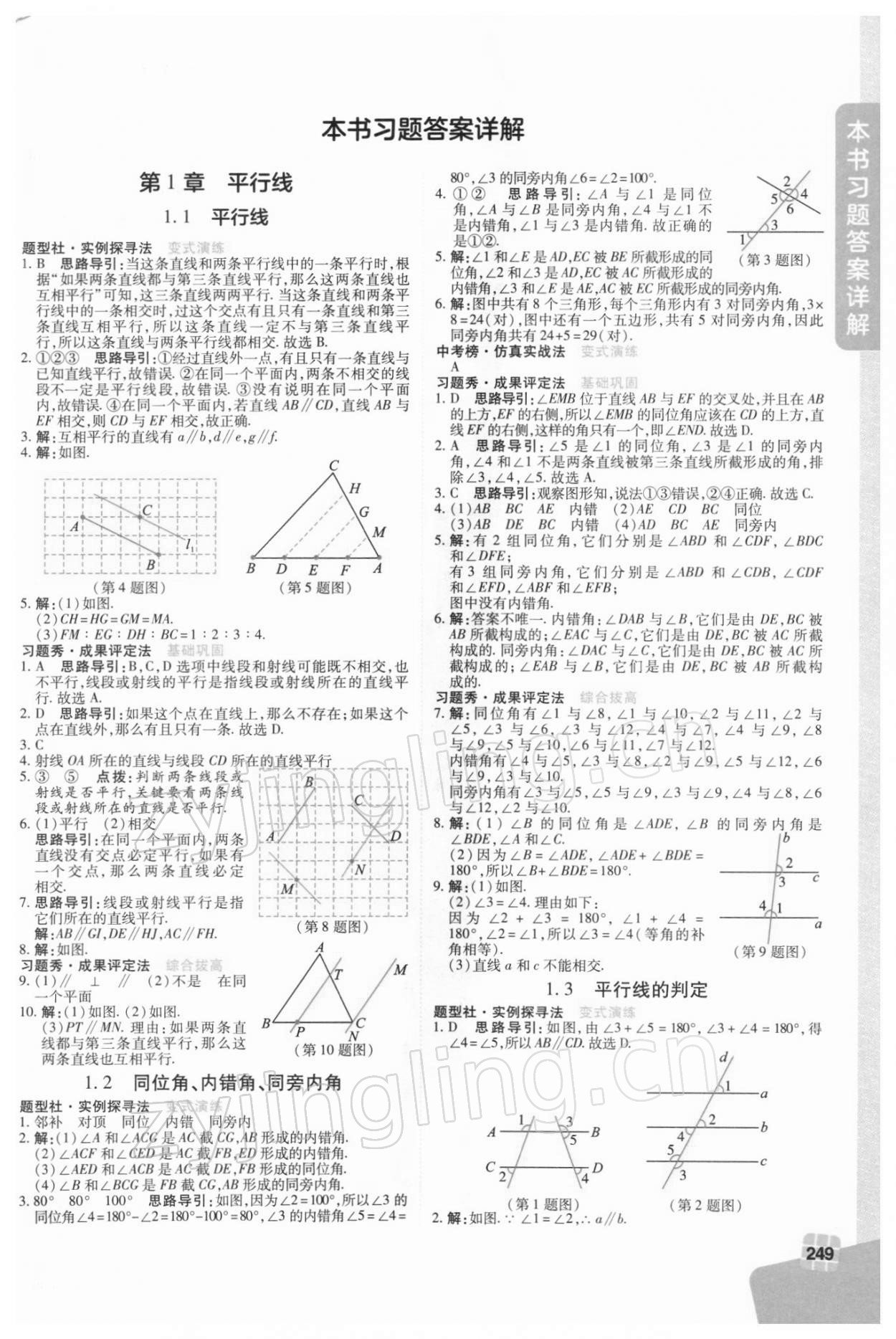 2022年倍速學習法七年級數(shù)學下冊浙教版 第1頁