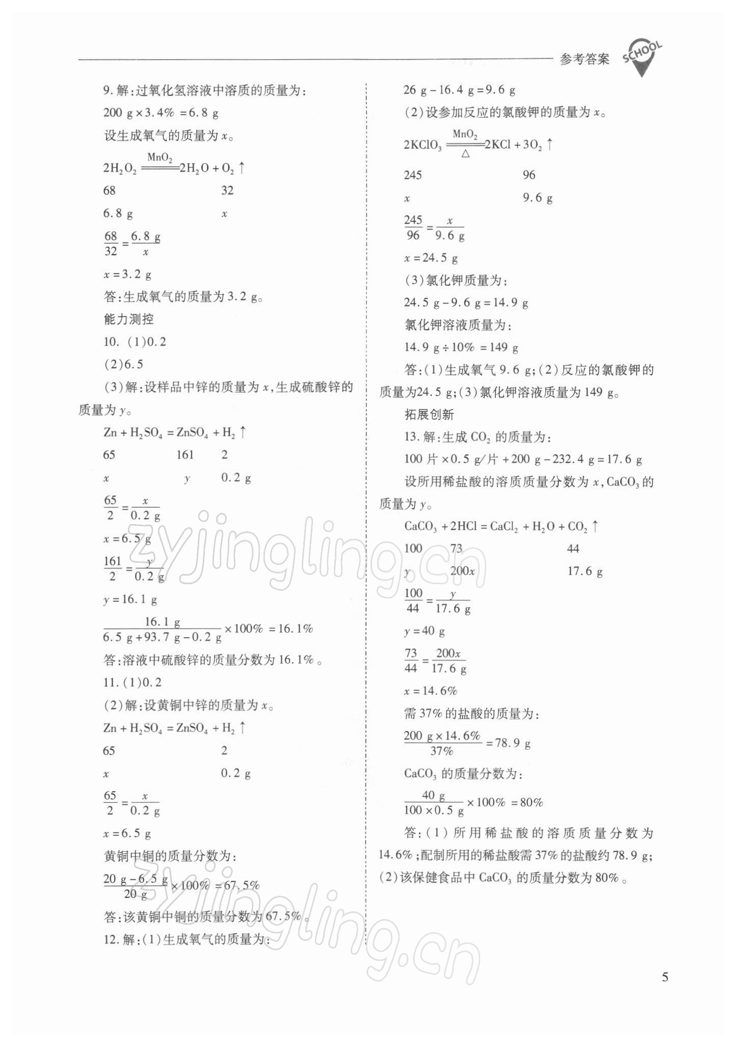 2022年新課程問題解決導(dǎo)學(xué)方案九年級化學(xué)下冊滬教版 參考答案第5頁