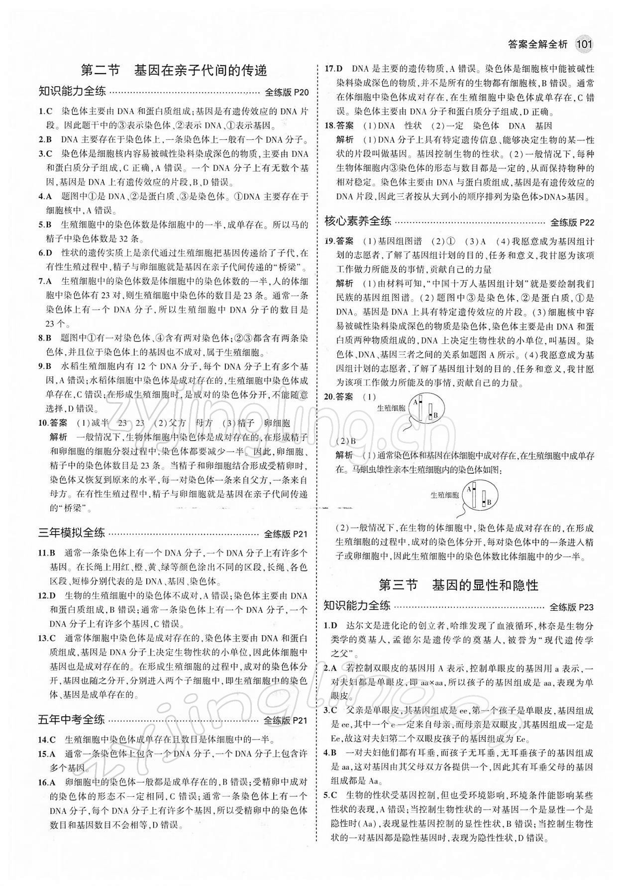 2022年5年中考3年模拟八年级生物下册人教版 第7页