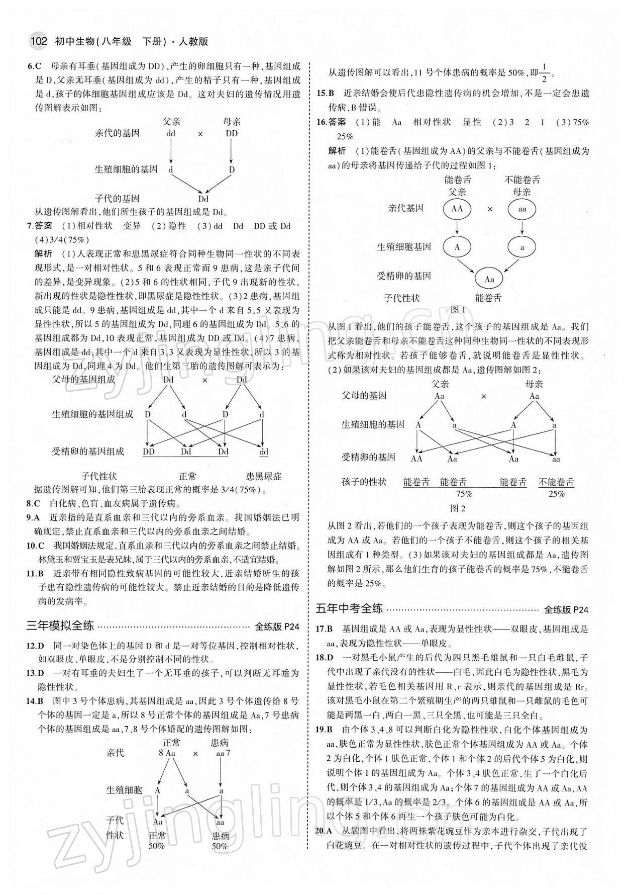 2022年5年中考3年模拟八年级生物下册人教版 第8页