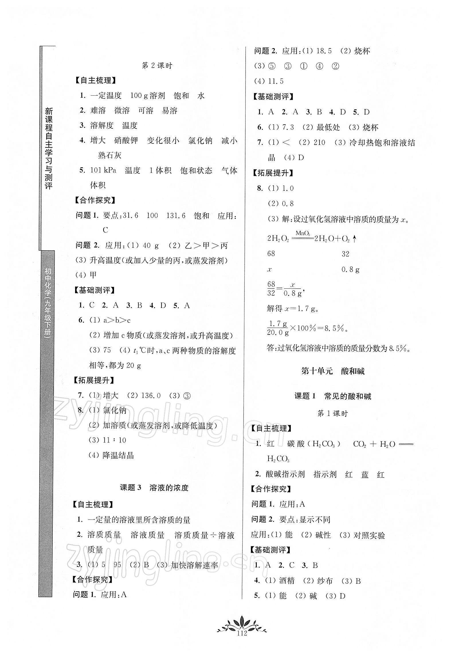 2022年新课程自主学习与测评九年级化学下册人教版 第4页