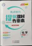 2022年亮點給力提優(yōu)課時作業(yè)本九年級化學(xué)下冊人教版