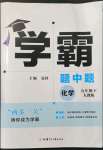 2022年學(xué)霸題中題九年級化學(xué)下冊人教版