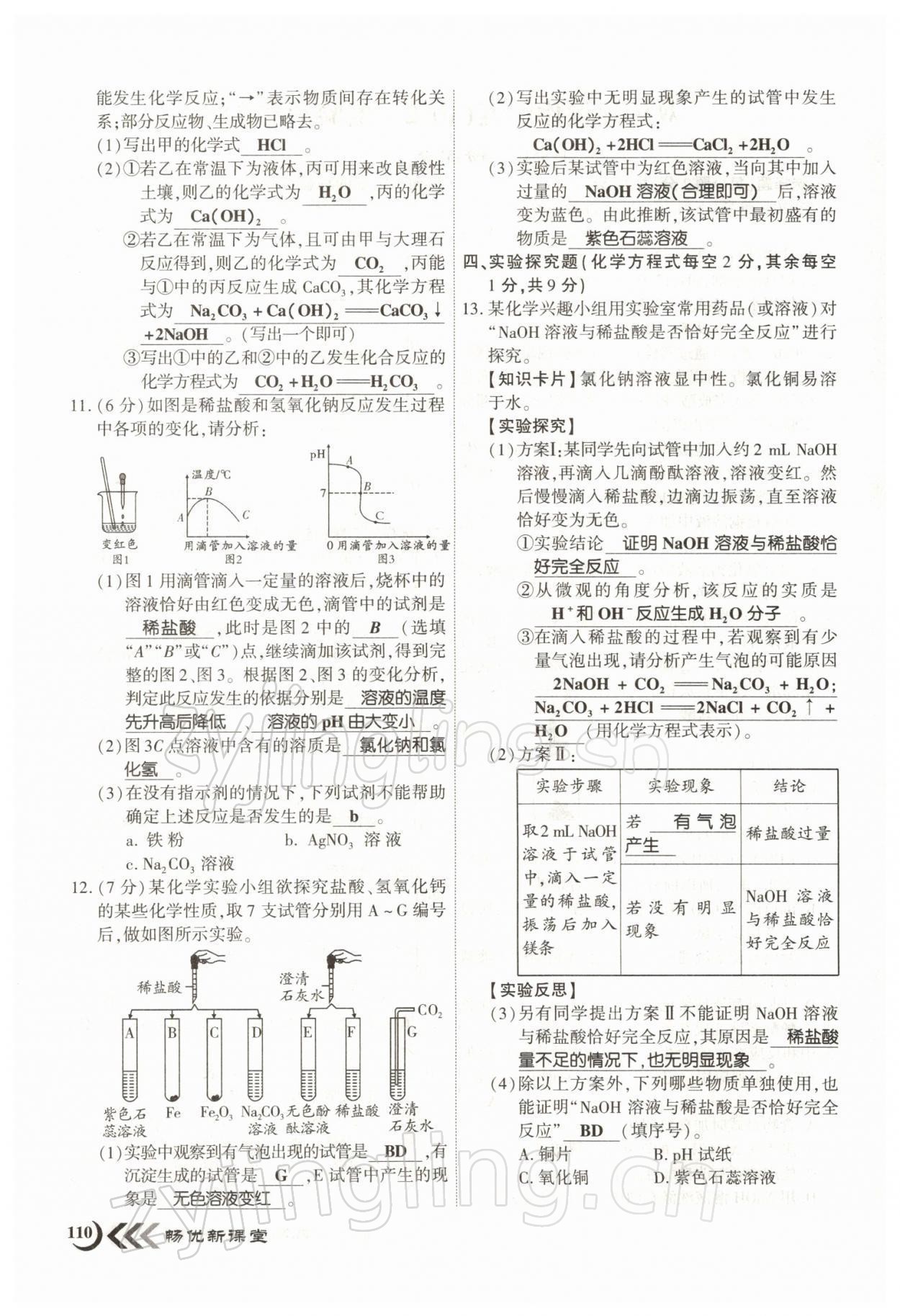 2022年暢優(yōu)新課堂九年級化學(xué)下冊人教版江西專版 參考答案第10頁