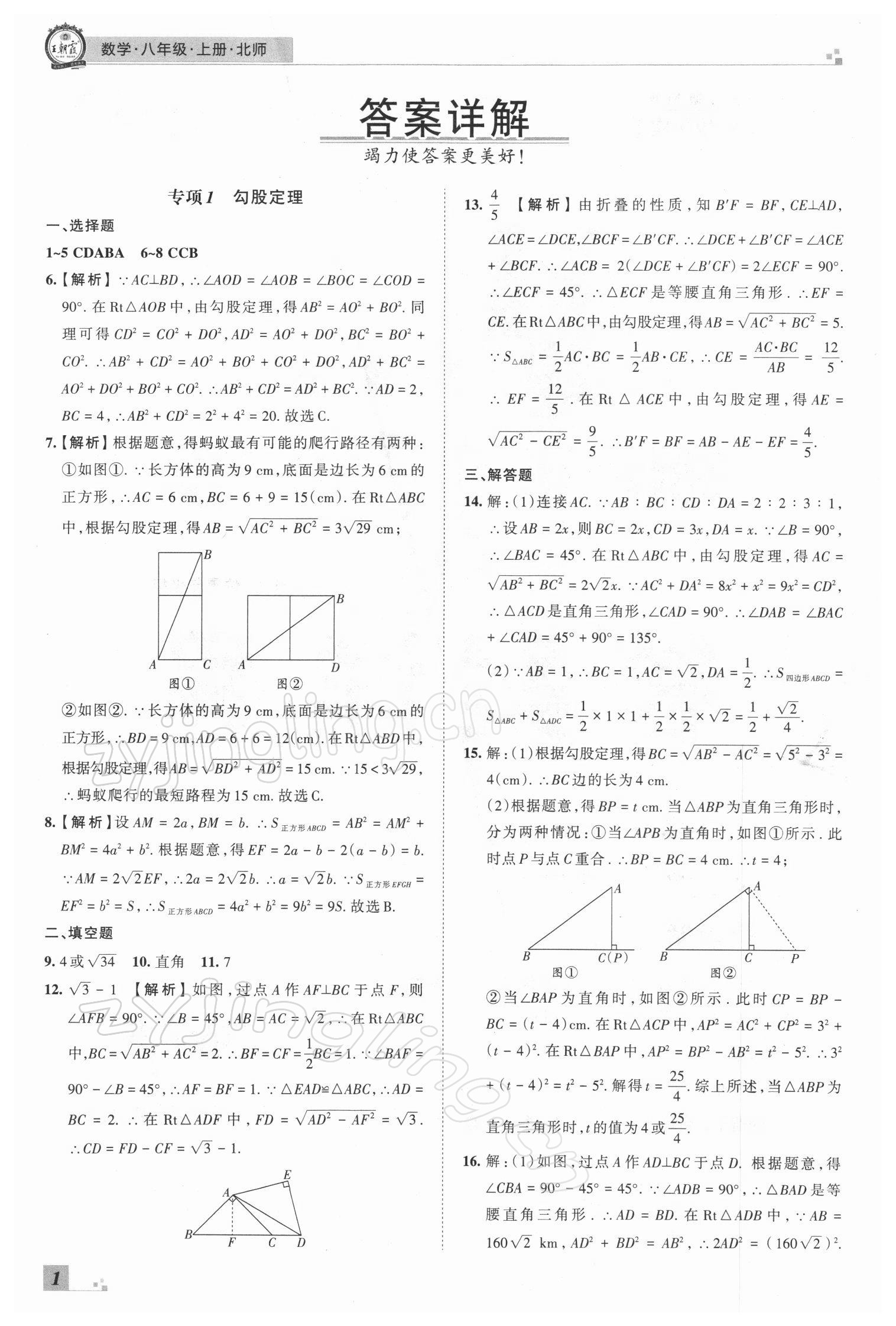 2021年王朝霞期末真題精編八年級數(shù)學上冊北師大版鄭州專版 參考答案第1頁