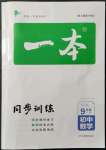 2022年一本同步訓練九年級初中數(shù)學下冊人教版