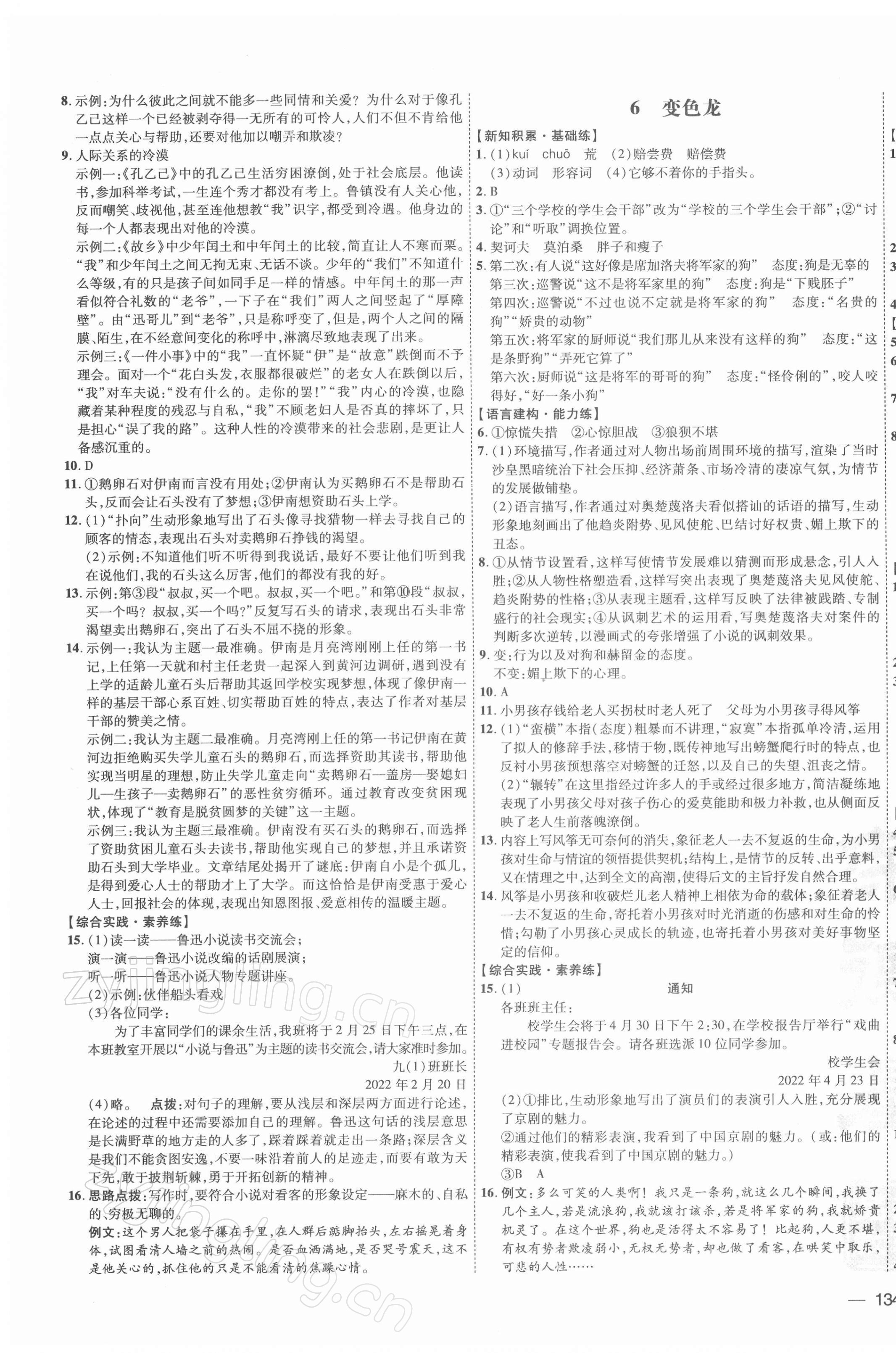 2022年點撥訓(xùn)練九年級語文下冊人教版安徽專版 參考答案第3頁