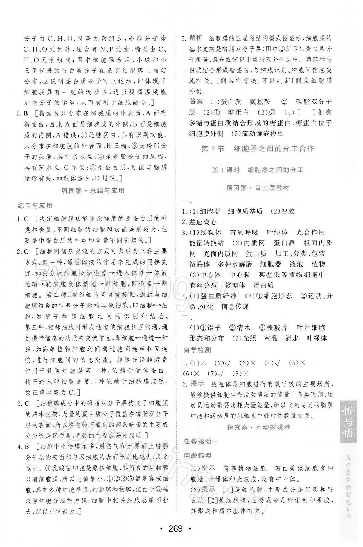 2021年新课程学习与测评生物必修1分子与细胞人教版 第15页