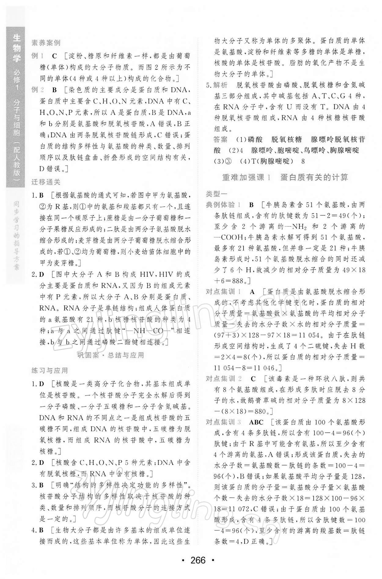 2021年新課程學(xué)習(xí)與測(cè)評(píng)生物必修1分子與細(xì)胞人教版 第12頁(yè)