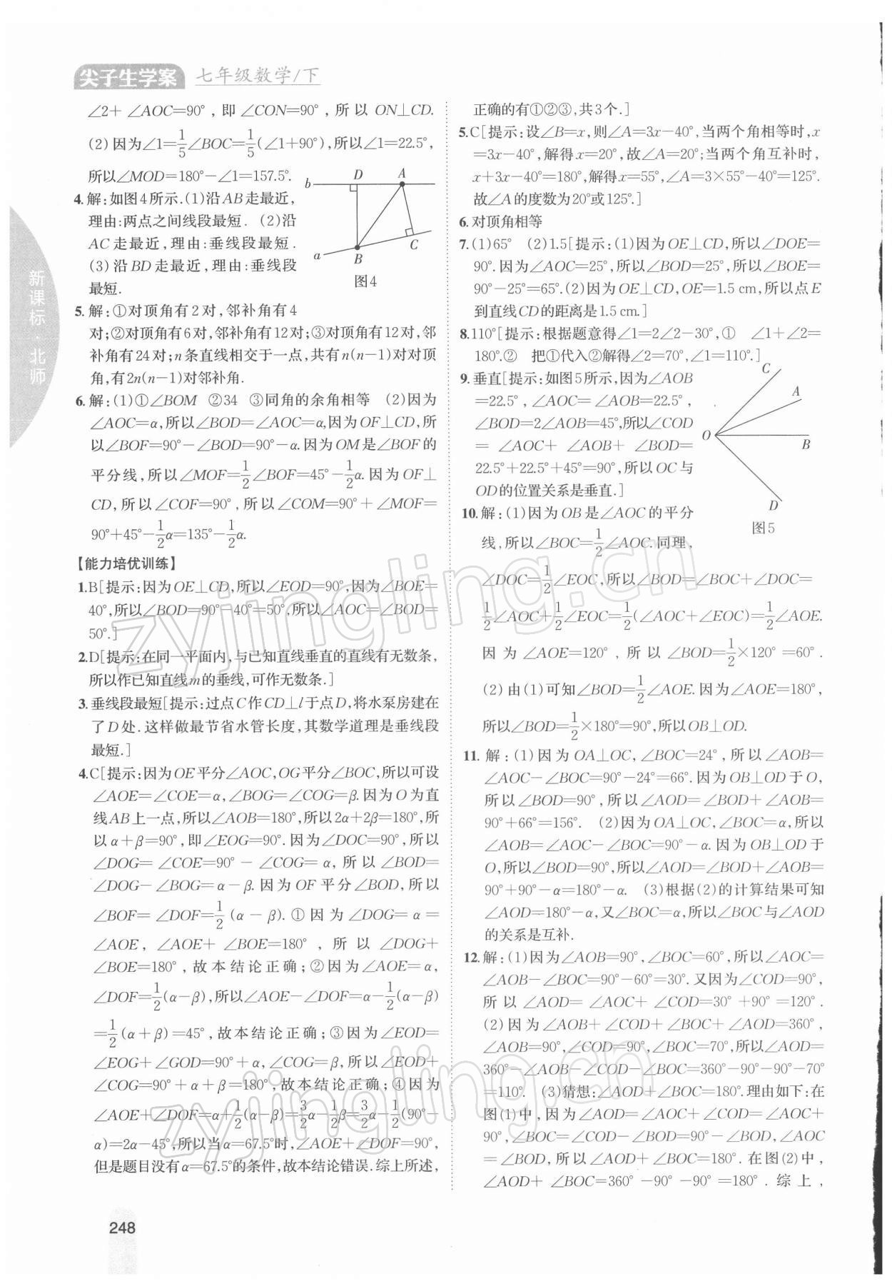 2022年尖子生学案七年级数学下册北师大版 第8页