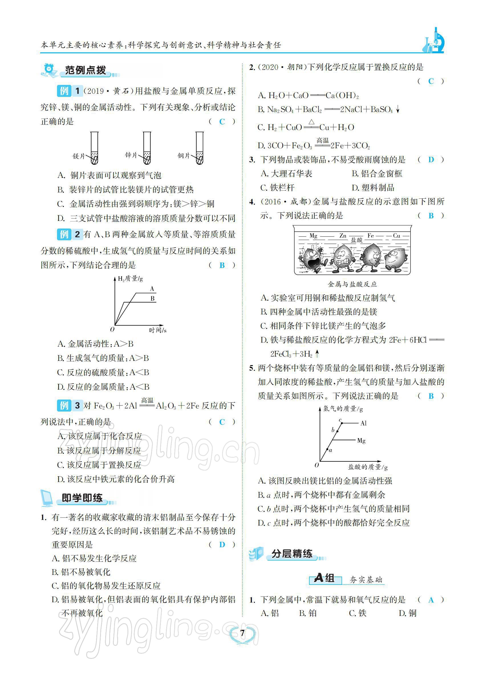 2022年驕子1號九年級化學(xué)下冊人教版 參考答案第7頁