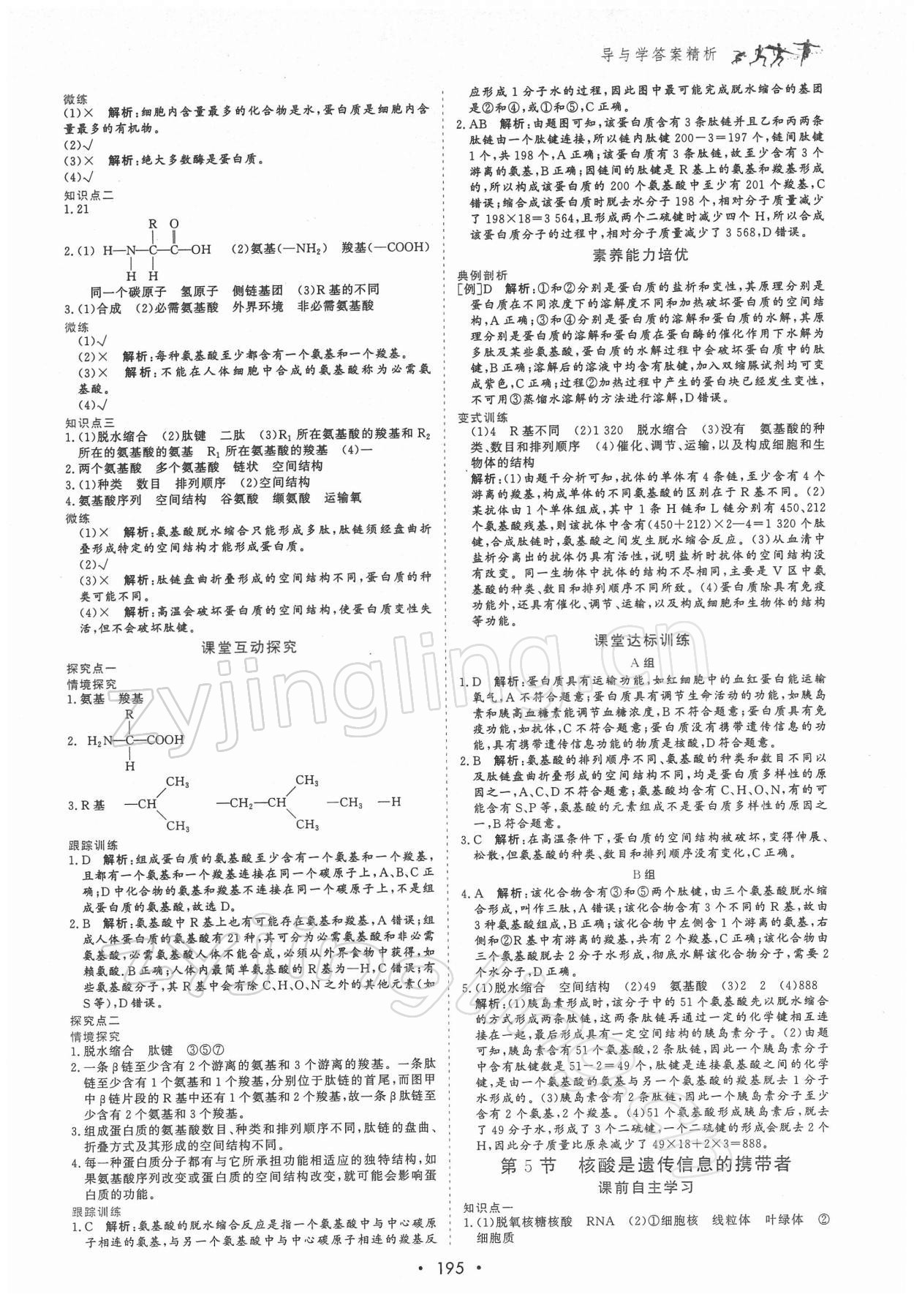 2021年優化指導高中必修1分子與細胞 參考答案第5頁