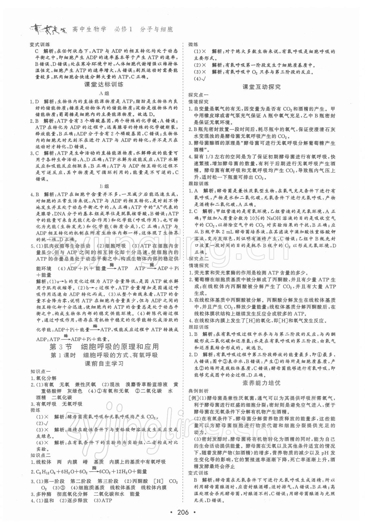 2021年優化指導高中必修1分子與細胞 參考答案第8頁