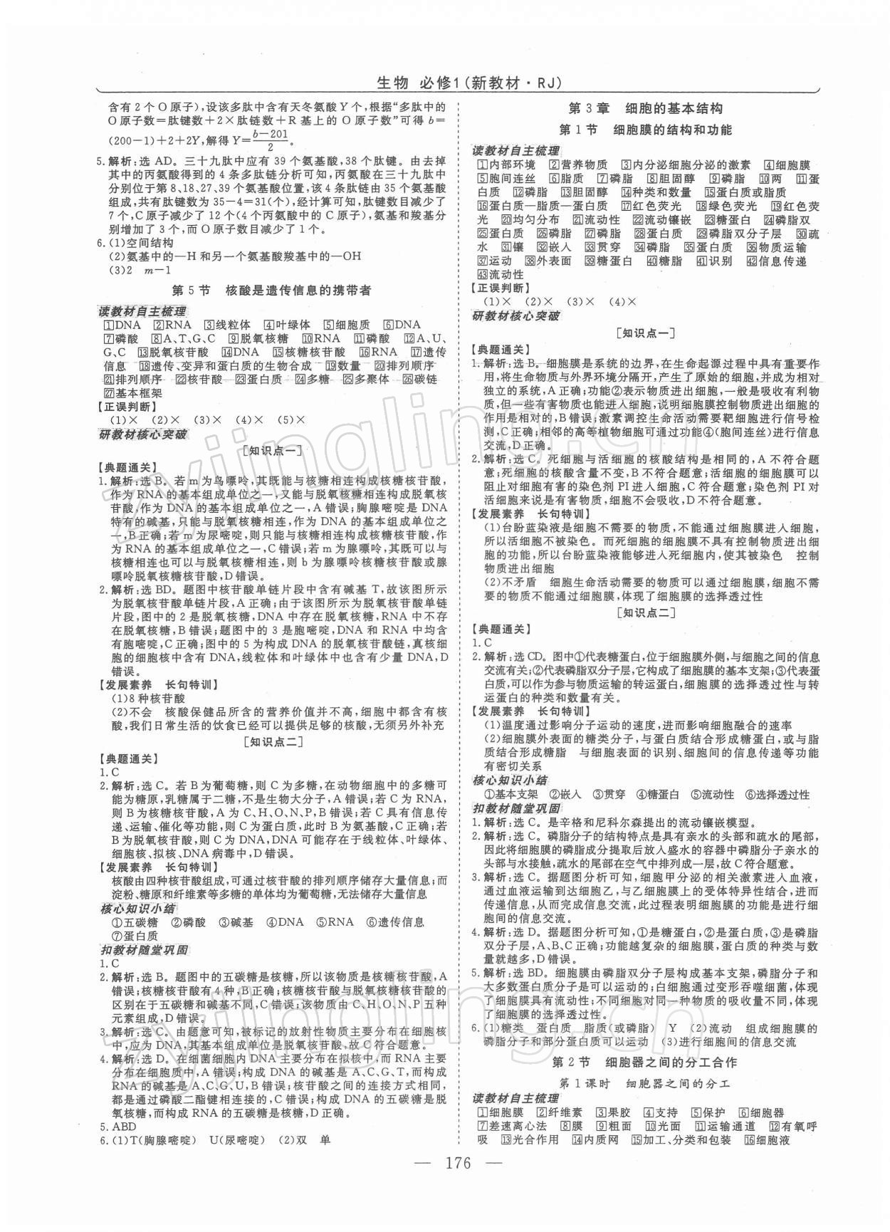 2022年高中同步創(chuàng)新課堂優(yōu)化方案高中生物必修第一冊(cè)人教版 第4頁